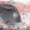 Citroen C1 05-14 заглушка вставка накладка левой противотуманки противотуманной  - <ro>Изображение</ro><ru>Изображение</ru> #2, <ru>Объявление</ru> #1460490