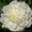 Очаровательные махровые травянистые пионы из частной коллекции - <ro>Изображение</ro><ru>Изображение</ru> #6, <ru>Объявление</ru> #1468864