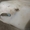 Citroen Berlingo 02- Xsara Partner бачок омывателя 9647190180 - <ro>Изображение</ro><ru>Изображение</ru> #4, <ru>Объявление</ru> #1460530