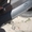Citroen Berlingo 02- бампер задний 50109751 - <ro>Изображение</ro><ru>Изображение</ru> #3, <ru>Объявление</ru> #1460362