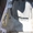 Citroen Berlingo 02- бампер задний 50109751 - <ro>Изображение</ro><ru>Изображение</ru> #5, <ru>Объявление</ru> #1460362