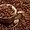 Арабика, робуста средней обжарки. Свежеобжаренный кофе в зёрнах - <ro>Изображение</ro><ru>Изображение</ru> #2, <ru>Объявление</ru> #1491602