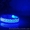 Светящийся ошейник для собак LED  КИЕВ - <ro>Изображение</ro><ru>Изображение</ru> #6, <ru>Объявление</ru> #1140538