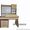 Детская парта - письменный стол с надстройкой - <ro>Изображение</ro><ru>Изображение</ru> #10, <ru>Объявление</ru> #1493671