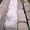 Пеноизол Утеплення будинків рідким пінопластом - <ro>Изображение</ro><ru>Изображение</ru> #5, <ru>Объявление</ru> #1494836