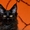 Котята Мейн-кун с превосходными породными данными. - <ro>Изображение</ro><ru>Изображение</ru> #1, <ru>Объявление</ru> #1509688
