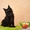 Котята Мейн-кун с превосходными породными данными. - <ro>Изображение</ro><ru>Изображение</ru> #2, <ru>Объявление</ru> #1509688