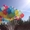Воздушные шары,  невероятно веселый подарок! #1504024