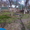 Продаётся дача в СТ "40 лет Октября" в Коцюбинском. - <ro>Изображение</ro><ru>Изображение</ru> #4, <ru>Объявление</ru> #1546711