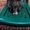 Крупные котята Мейн-Куны - <ro>Изображение</ro><ru>Изображение</ru> #4, <ru>Объявление</ru> #1551697