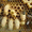 Продам пчелосемьи НЕДОРОГО. - <ro>Изображение</ro><ru>Изображение</ru> #2, <ru>Объявление</ru> #1555175