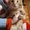 Крупные котята Мейн-Куны - <ro>Изображение</ro><ru>Изображение</ru> #1, <ru>Объявление</ru> #1551697