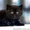 Профессионально выращенные чистокровные британские котята из питомника - <ro>Изображение</ro><ru>Изображение</ru> #4, <ru>Объявление</ru> #1012738