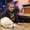 Щенки пиренейской горной собаки - <ro>Изображение</ro><ru>Изображение</ru> #1, <ru>Объявление</ru> #1573014