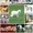 Щенки пиренейской горной собаки - <ro>Изображение</ro><ru>Изображение</ru> #3, <ru>Объявление</ru> #1573014