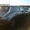 Nissan Leaf SV электромобиль - <ro>Изображение</ro><ru>Изображение</ru> #2, <ru>Объявление</ru> #1587540
