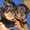 Симпатичные щенки Ротвейлера - <ro>Изображение</ro><ru>Изображение</ru> #1, <ru>Объявление</ru> #1589736