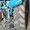 Продаем колесный трактор МТЗ 82 Беларусь, 1995 г.в. - <ro>Изображение</ro><ru>Изображение</ru> #5, <ru>Объявление</ru> #1592353
