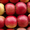 Продажа польских яблок - <ro>Изображение</ro><ru>Изображение</ru> #2, <ru>Объявление</ru> #1595404