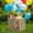 Воздушные шарики Киев, купить надувные шары с доставкой в Киеве - <ro>Изображение</ro><ru>Изображение</ru> #3, <ru>Объявление</ru> #1598354