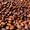 Орех кедровый, сибирский, неочищенный (2019) - <ro>Изображение</ro><ru>Изображение</ru> #2, <ru>Объявление</ru> #1601606