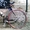 Спортивный (шоссейный)велосипед. - <ro>Изображение</ro><ru>Изображение</ru> #2, <ru>Объявление</ru> #1604868