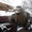 Продаем автокран КС-4561А, 16 тонн, 1985 г.в., КрАЗ 250К, 1984 г.в. - <ro>Изображение</ro><ru>Изображение</ru> #4, <ru>Объявление</ru> #1609427