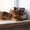 Роскошные абиссинские малыши из питомника  - <ro>Изображение</ro><ru>Изображение</ru> #3, <ru>Объявление</ru> #788386