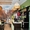 Гостиница и Кафе с постоянными арендаторами в городе Геленджик, Черное море - <ro>Изображение</ro><ru>Изображение</ru> #3, <ru>Объявление</ru> #1639198