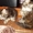 Чистокровные котята Мейн-Куны - <ro>Изображение</ro><ru>Изображение</ru> #5, <ru>Объявление</ru> #1637324