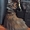 Чистокровные котята Мейн-Куны - <ro>Изображение</ro><ru>Изображение</ru> #1, <ru>Объявление</ru> #1637324