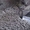 Бетон и строительные растворы недорого (Киев, Киевская обл.) - <ro>Изображение</ro><ru>Изображение</ru> #1, <ru>Объявление</ru> #1641154