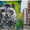  Роспись и оформление стен, Граффити, Муралы по Киеву и Украине. - <ro>Изображение</ro><ru>Изображение</ru> #5, <ru>Объявление</ru> #1649948