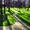Газон Киев. Создание газона - <ro>Изображение</ro><ru>Изображение</ru> #1, <ru>Объявление</ru> #1651766