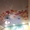 Натяжные потолки в Киеве и обл. от 125 грн/м2 - <ro>Изображение</ro><ru>Изображение</ru> #2, <ru>Объявление</ru> #1662336