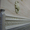 Плинтус дубовый купить в Киеве . Багеты для зеркал и рамок. Декоры - <ro>Изображение</ro><ru>Изображение</ru> #3, <ru>Объявление</ru> #1666005