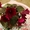 Фиалки, листочки, черенки, стартеры, цветущие, комнатные цветы, - <ro>Изображение</ro><ru>Изображение</ru> #2, <ru>Объявление</ru> #1667858