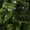 Новогодняя искуственная елка №72,  210 см,  зеленый #1671027