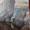 Продам коллекцию картин знаменитого художника А.Шепы. - <ro>Изображение</ro><ru>Изображение</ru> #9, <ru>Объявление</ru> #1673565