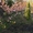 Продажа загородного участка с фруктовым садом - <ro>Изображение</ro><ru>Изображение</ru> #2, <ru>Объявление</ru> #1680141
