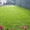 Рулонный газон, Новинка сухой газон по Голландской технологии - <ro>Изображение</ro><ru>Изображение</ru> #2, <ru>Объявление</ru> #1684633