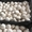 Продаем свежие грибы шампиньоны со своего производства - <ro>Изображение</ro><ru>Изображение</ru> #6, <ru>Объявление</ru> #952429