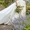  Новые свадебные платья, низкие цены - <ro>Изображение</ro><ru>Изображение</ru> #5, <ru>Объявление</ru> #1687626