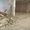 Демонтажные работы. Демонтаж квартиры, стен, перегородок, плитки, паркета - <ro>Изображение</ro><ru>Изображение</ru> #4, <ru>Объявление</ru> #1688947