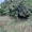 Продається земля в с. Пилиповичі, Бородянський р-н - <ro>Изображение</ro><ru>Изображение</ru> #3, <ru>Объявление</ru> #1688182