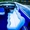 Аренда Аква лимузина, прокат аква лимузин на воде арендовать водный лимузин на д - <ro>Изображение</ro><ru>Изображение</ru> #6, <ru>Объявление</ru> #1688165