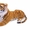 Большой плюшевый тигр ТМ Melissa&Doug #1695011