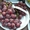 Саженцы винограда Подарок Радионову #1698597