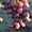 Саженцы винограда Валерия #1698550