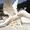 Скульптуры ангелов для памятников на кладбище под заказ - <ro>Изображение</ro><ru>Изображение</ru> #2, <ru>Объявление</ru> #1704815
